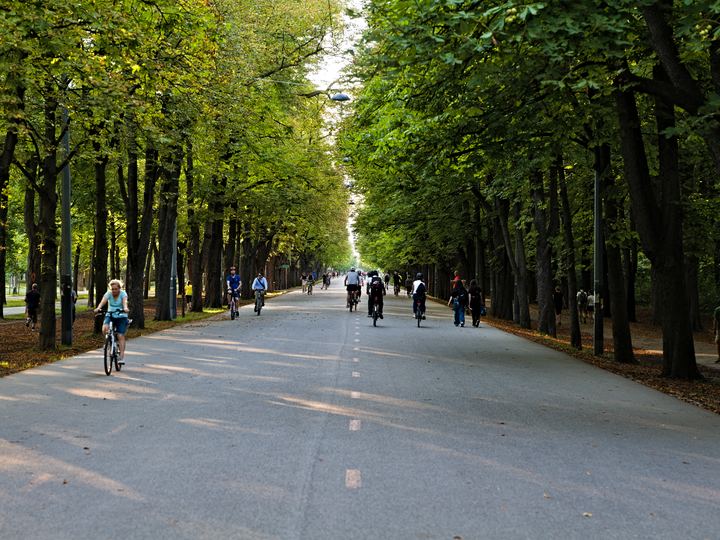 The long tree-lined Hauptallee avenue in Vienna's Prater park